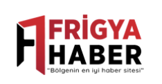 frigya haber